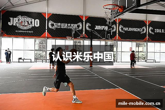 认识米乐中国